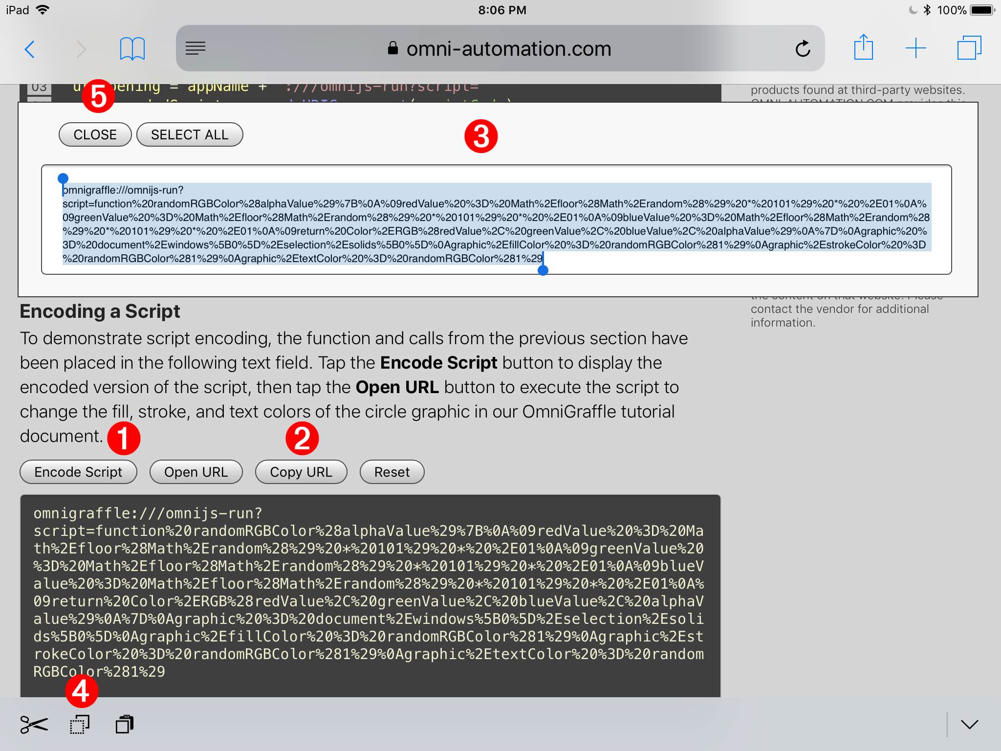 Copy the encoded script